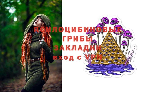 ешки Абинск