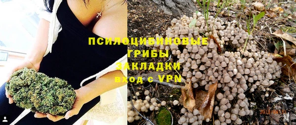 ешки Абинск