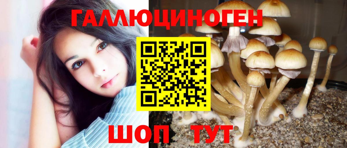 Псилоцибиновые грибы мухоморы Алапаевск